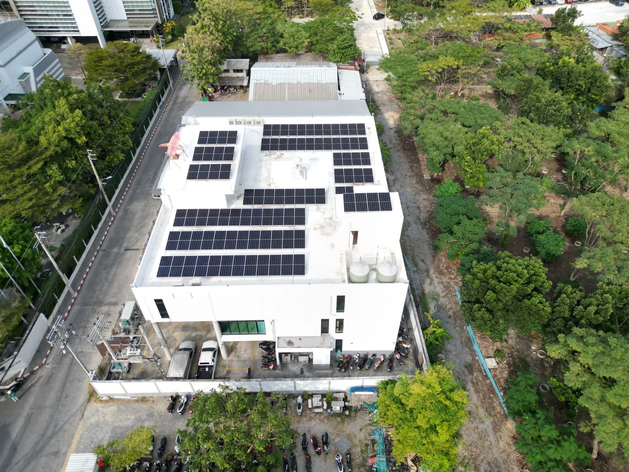 ตัวอย่างภาพ